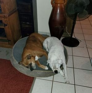 Meet your Posher, Stephene